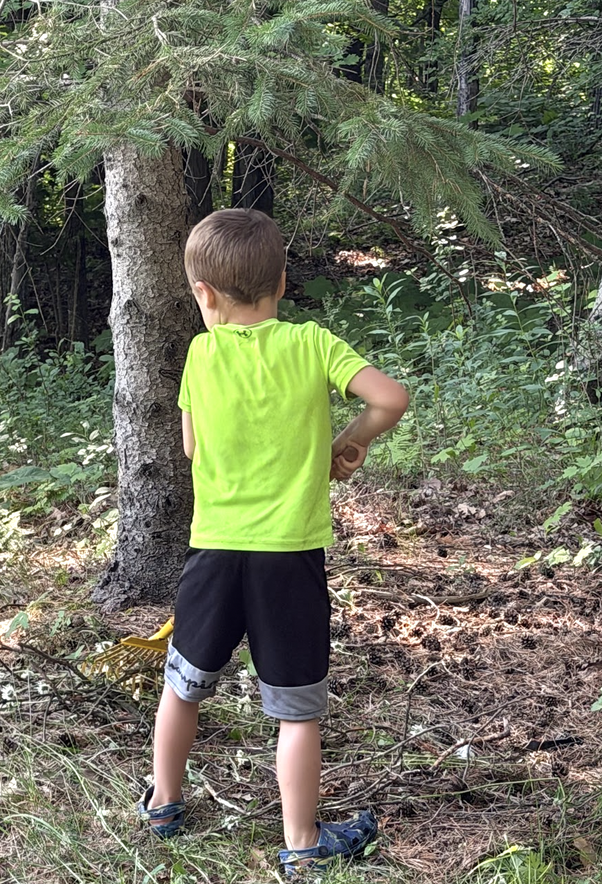 Nature school activity